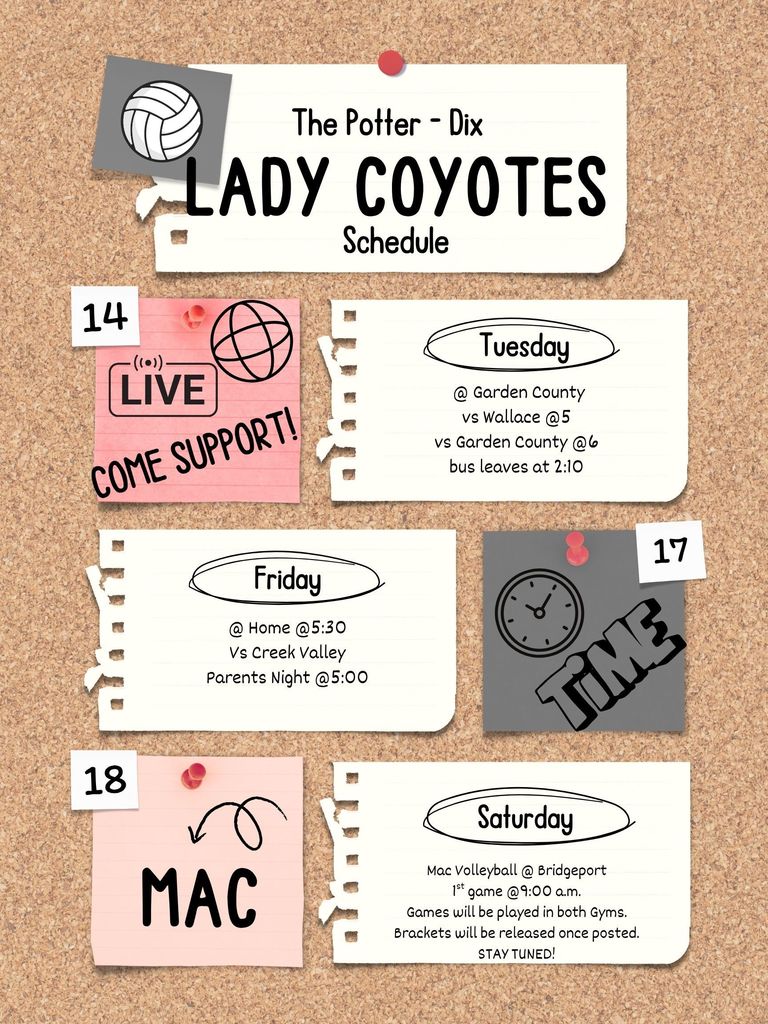 Potter - Dix volleyball 