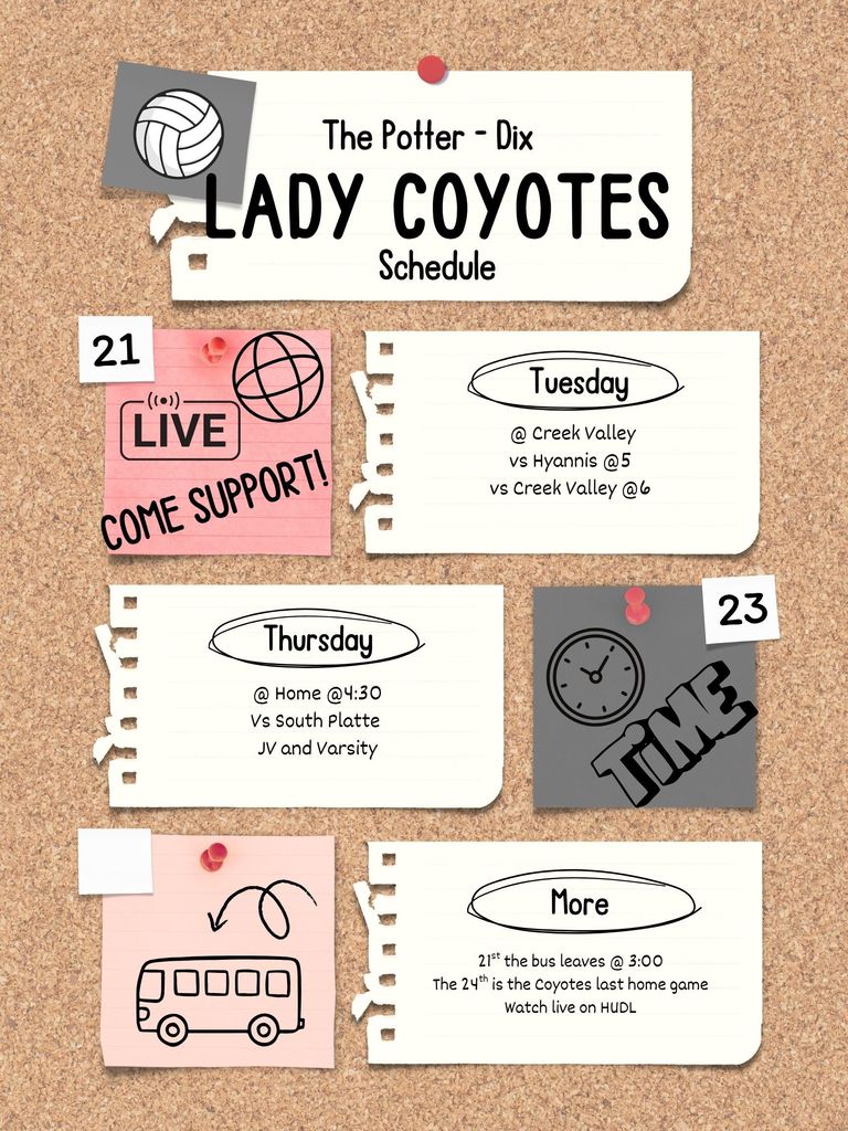 Volleyball this week