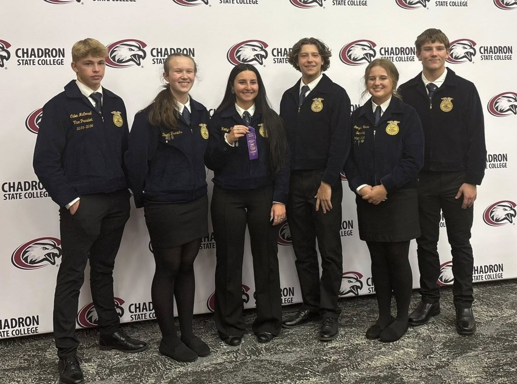 district LDE ParliPro