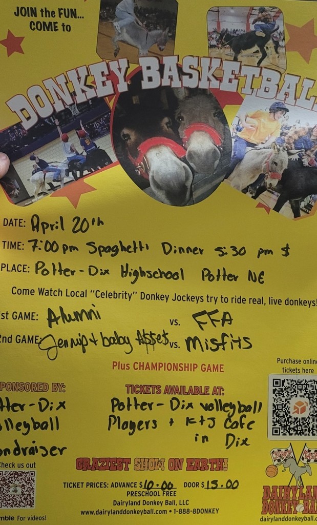 Donkey bball poster