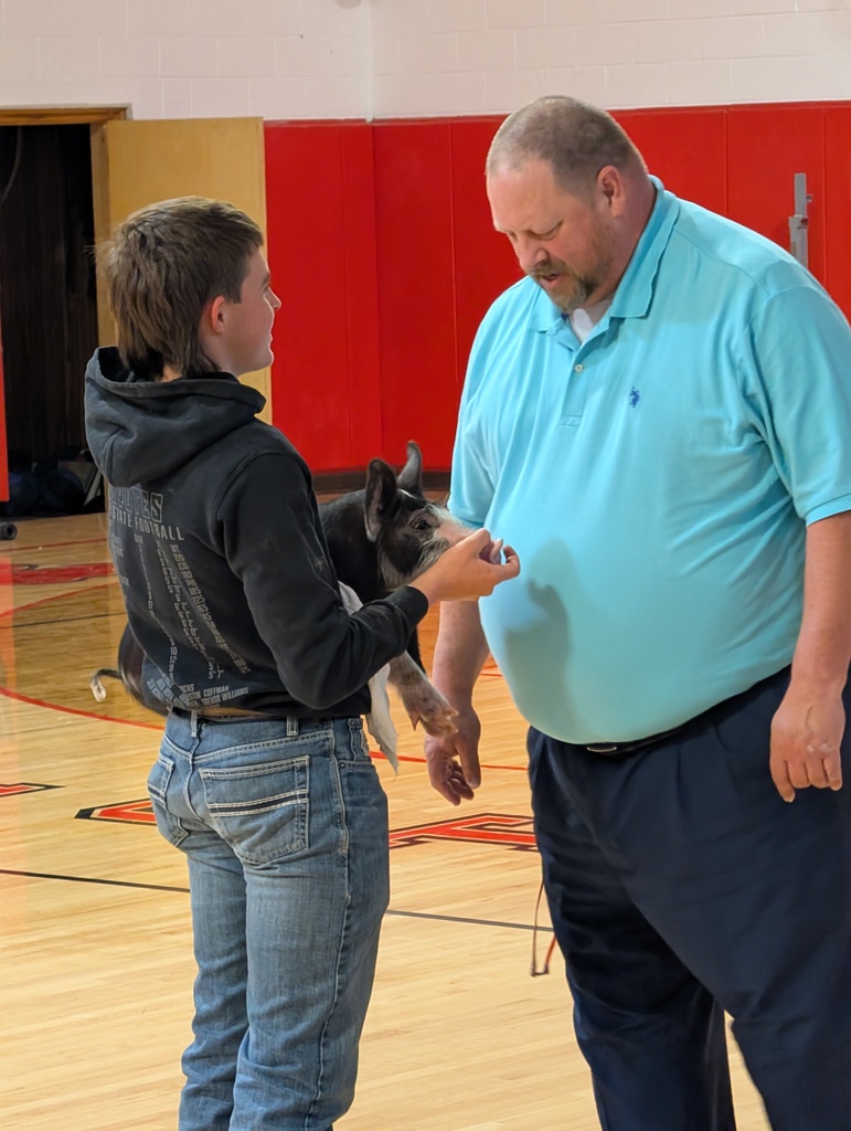 Mr Arent, Will D and pig