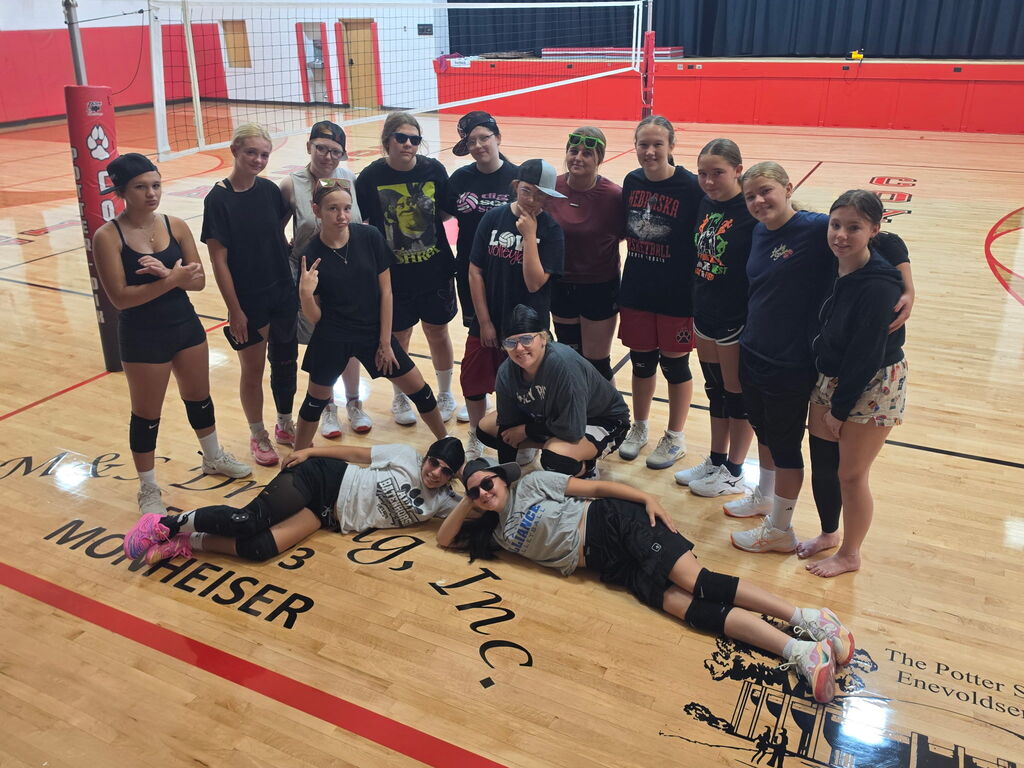 volleyball team