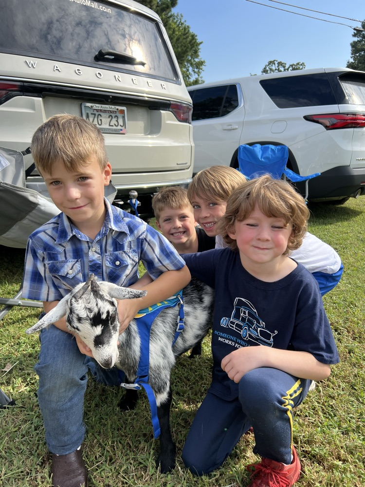 Boys & Mini Goat