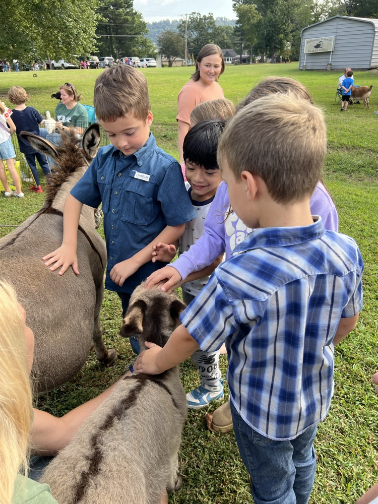 Petting the donkeys 