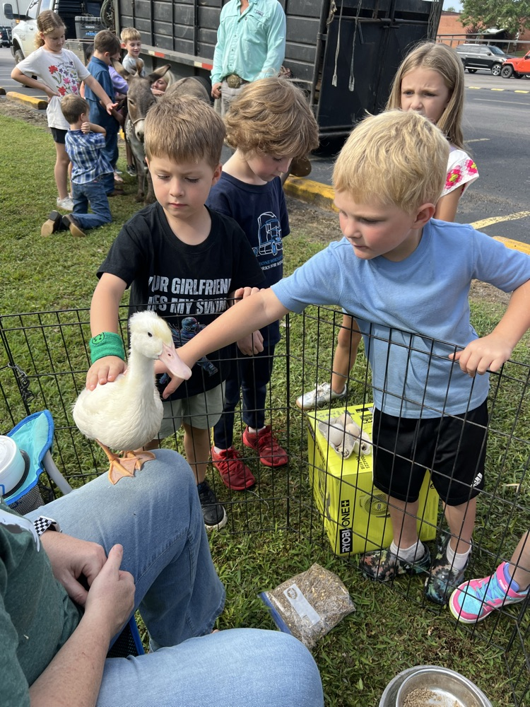 Petting the ducks