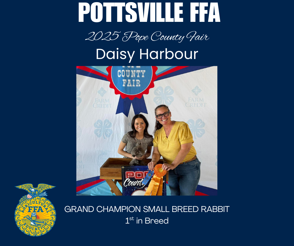 Daisy Harbour