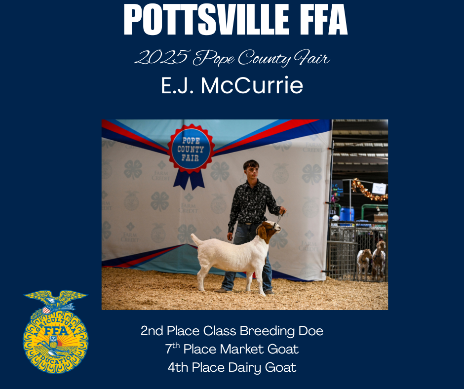 E.J. McCurrie