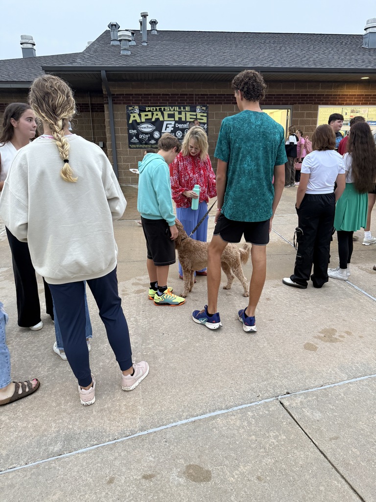 syatp