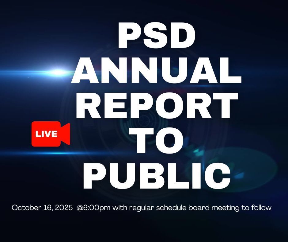 annual report to public