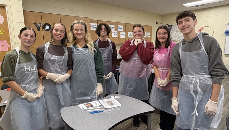 Find Your Future in Healthcare 