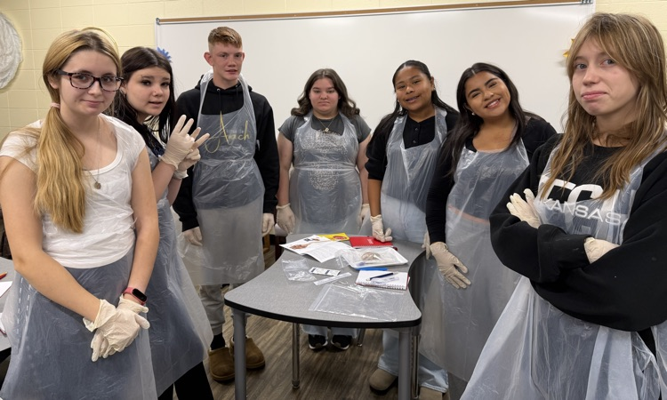 Find Your Future in Healthcare 