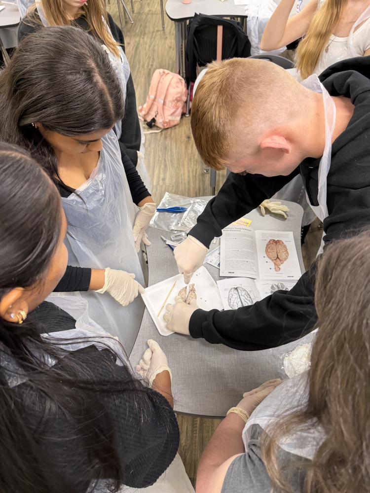 Find Your Future in Healthcare 