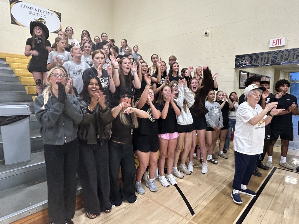 Fans at Game