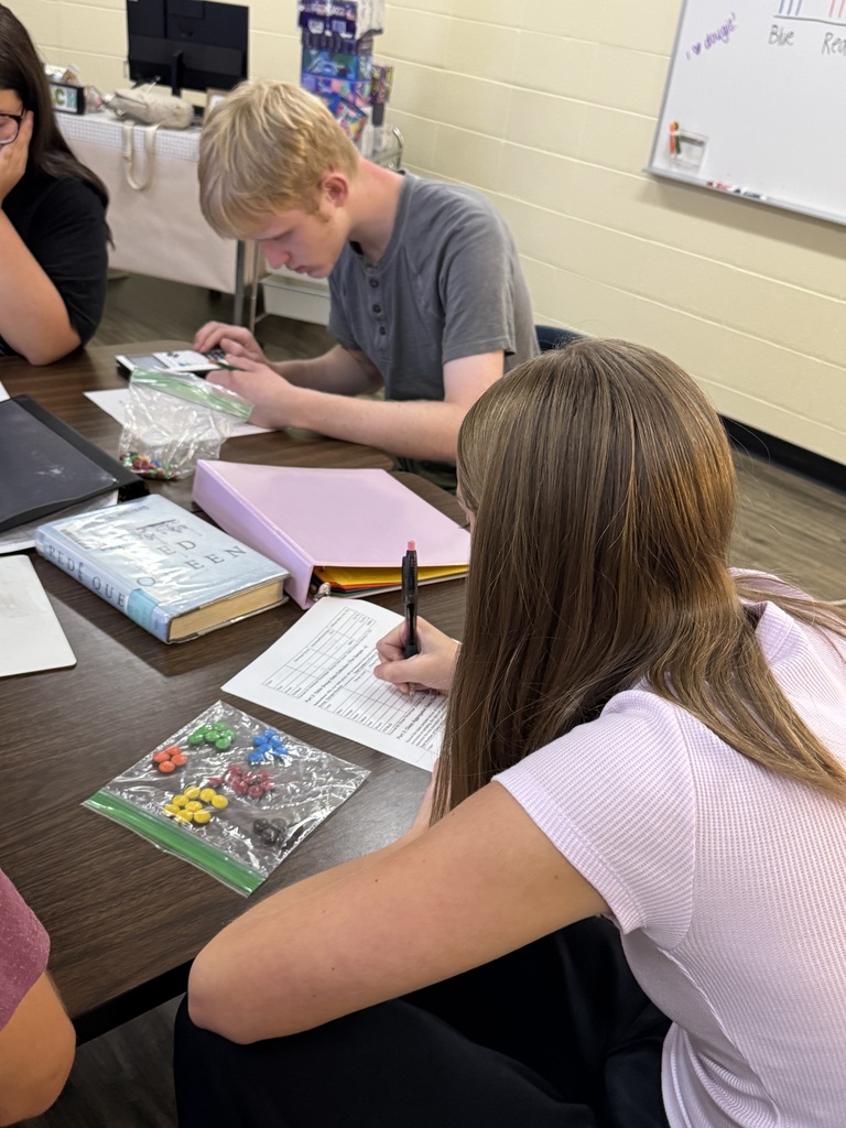 Students work on their m & m lab.