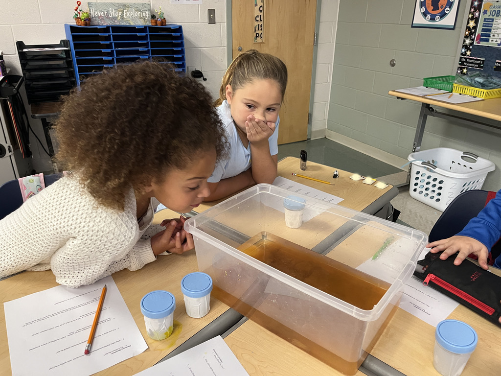 Students observe the impact pollutants have on water during an experiment. 