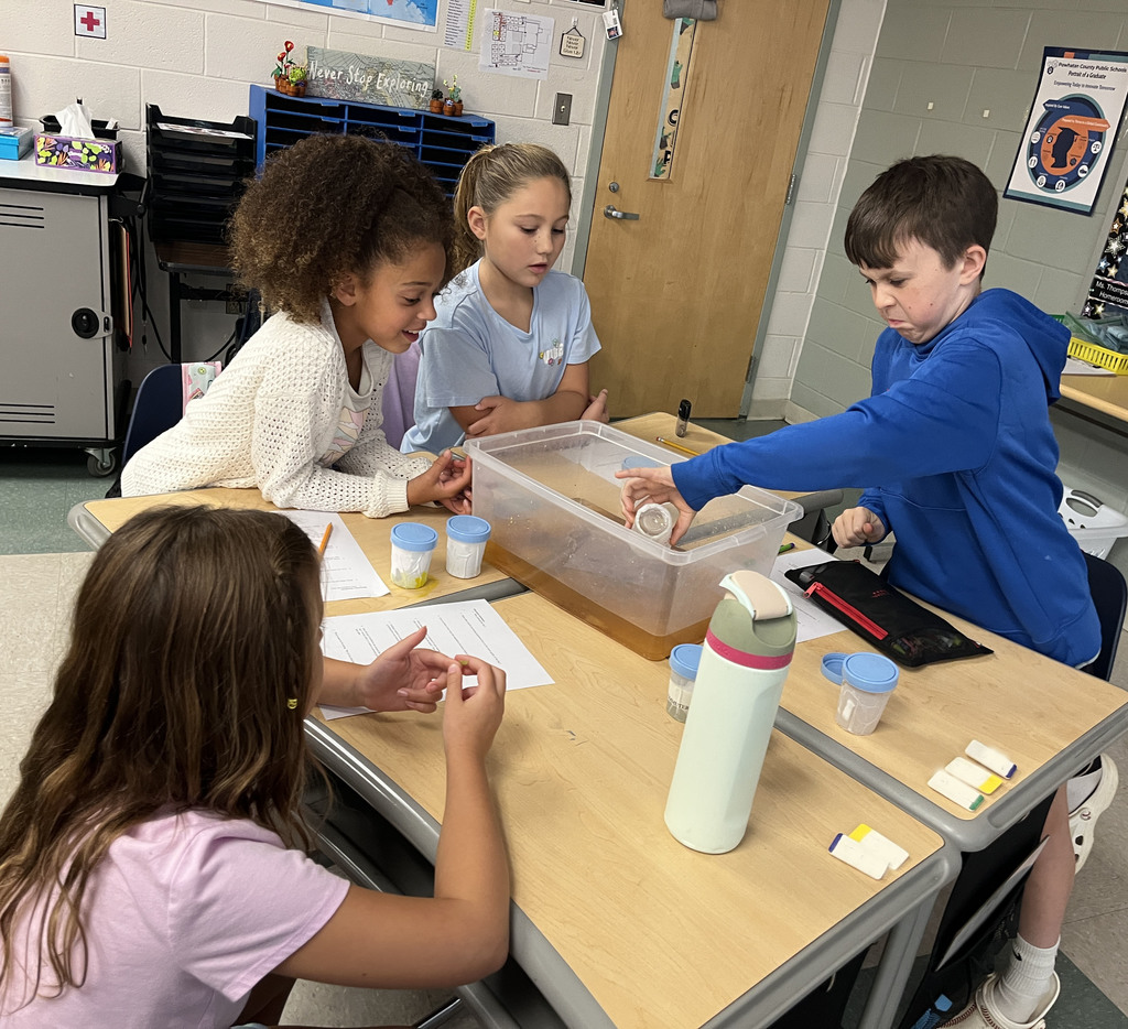 Students observe the impact pollutants have on water during an experiment. 