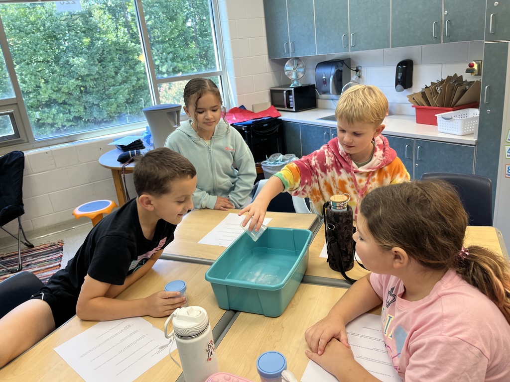 Students observe the impact pollutants have on water during an experiment. 