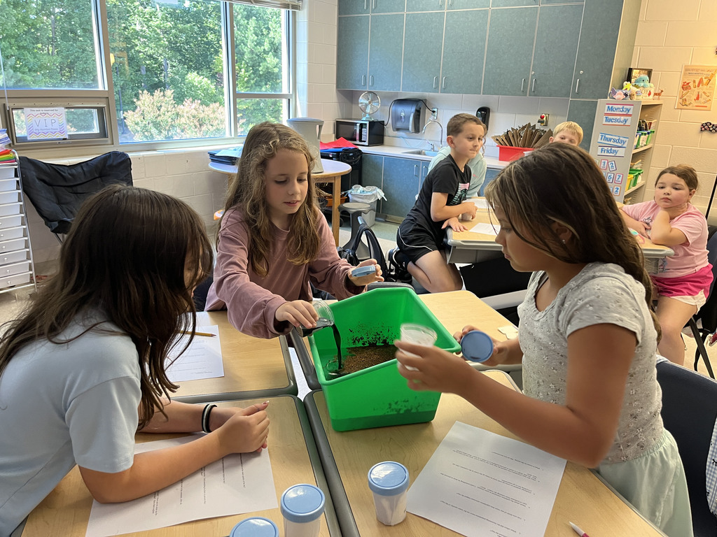 Students observe the impact pollutants have on water during an experiment. 