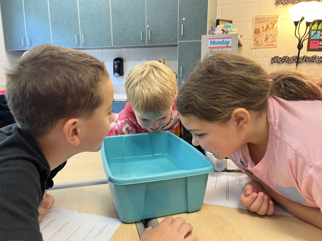 Students observe the impact pollutants have on water during an experiment. 