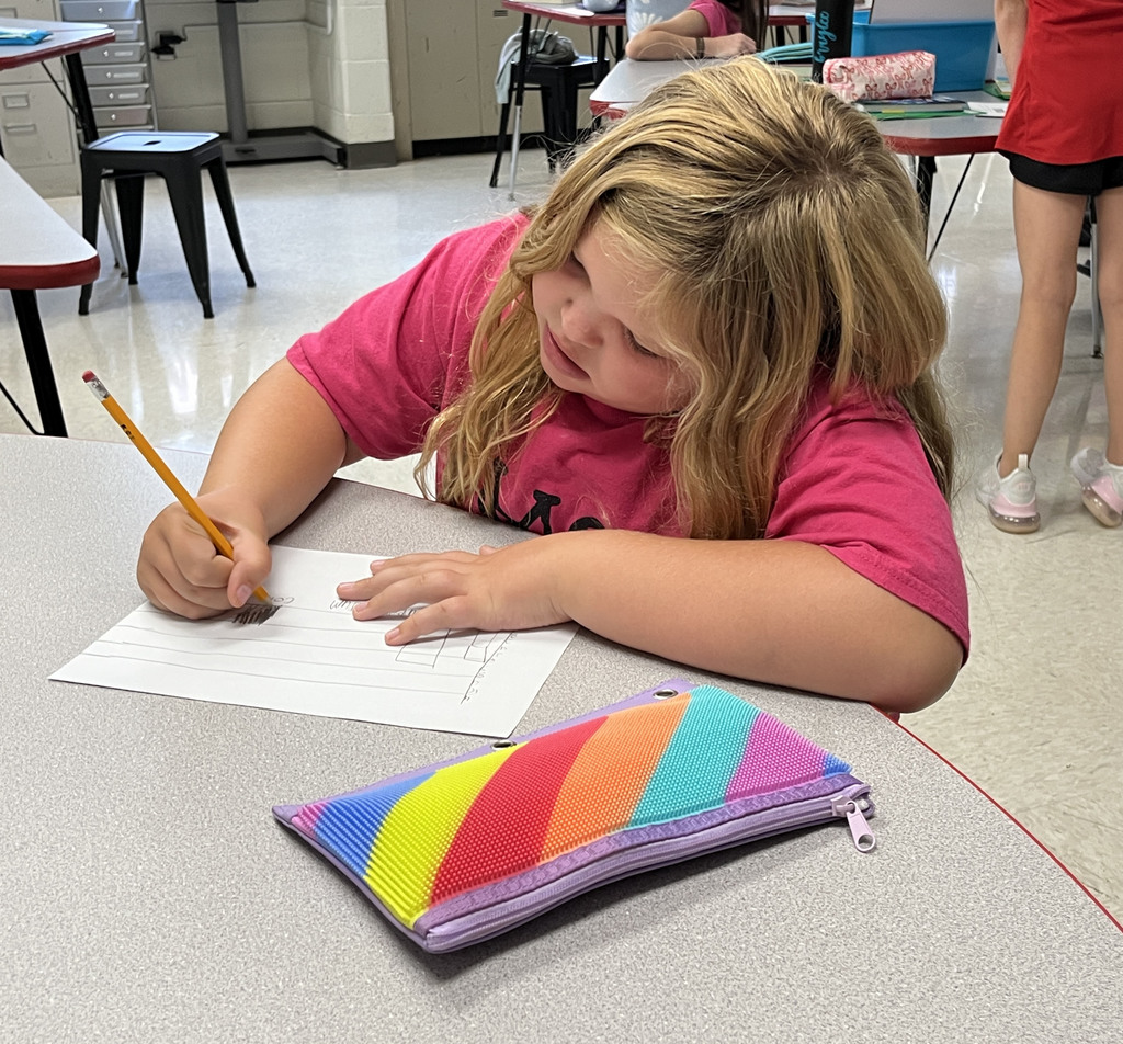 A student uses data from a survey about favorite ice cream flavors  to create a bar graph.