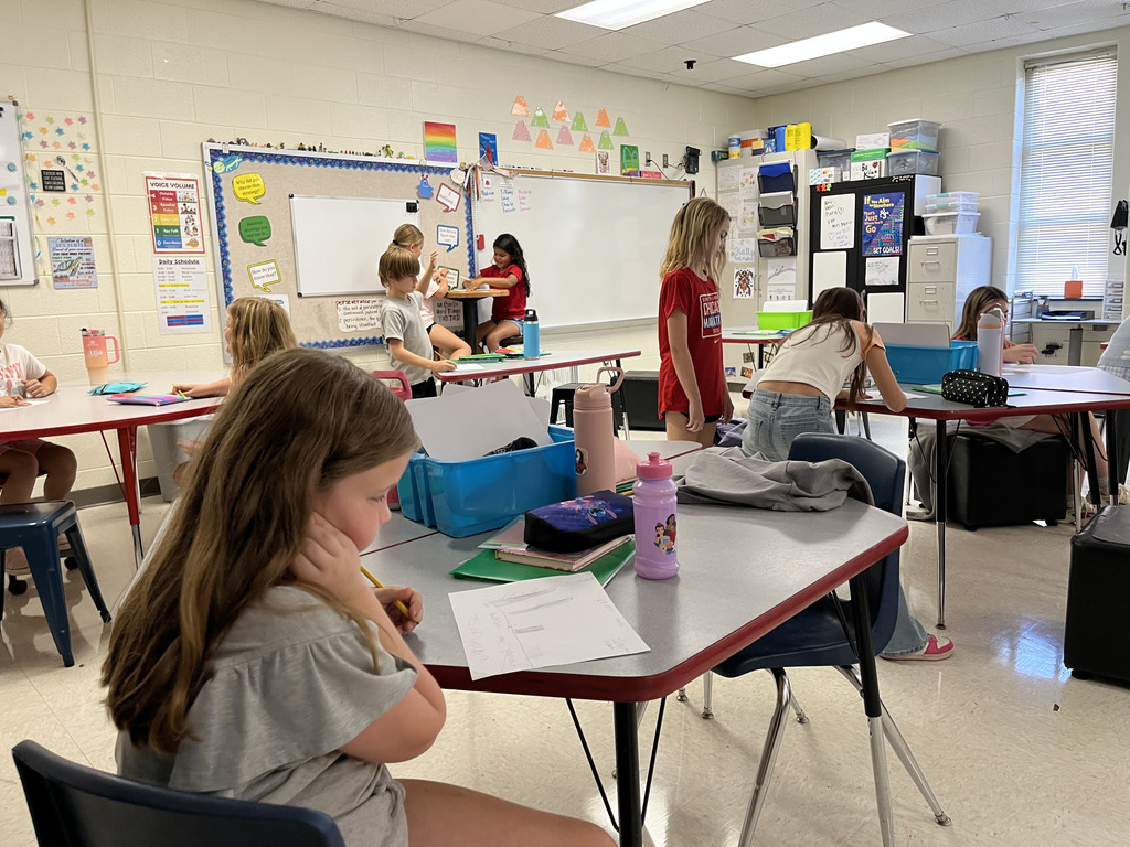 Students use data from a survey about favorite ice cream flavors  to create a bar graph.