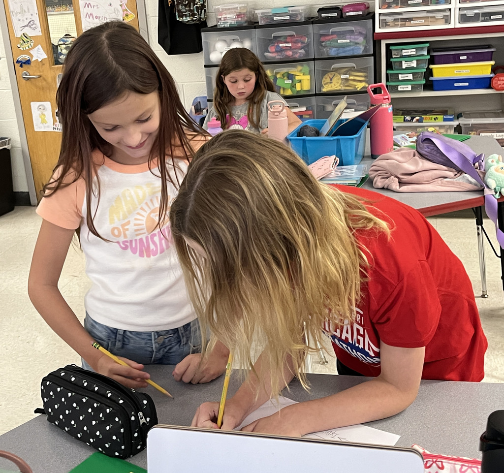 Students use data from a survey about favorite ice cream flavors  to create a bar graph.