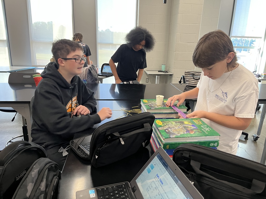 Students build bridges out of spaghetti noodles in science class.