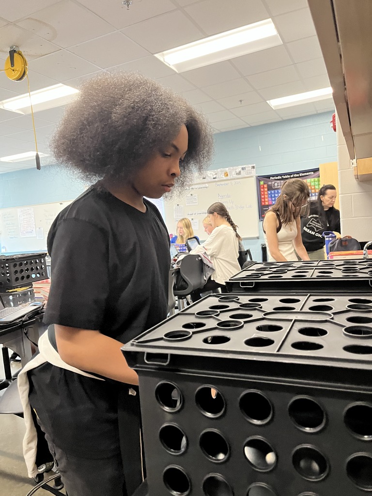Students build bridges out of spaghetti noodles in science class.