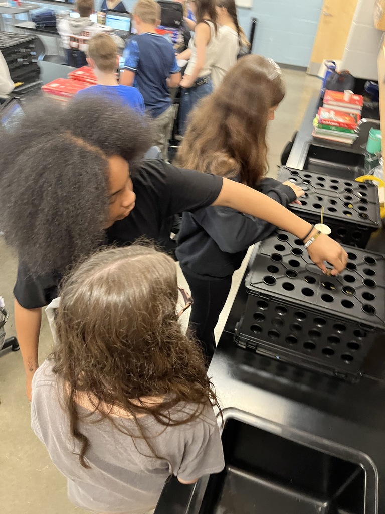 Students build bridges out of spaghetti noodles in science class.