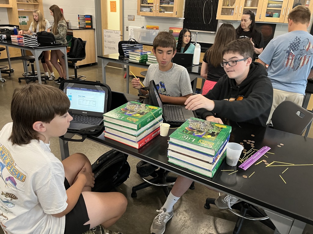 Students build bridges out of spaghetti noodles in science class.