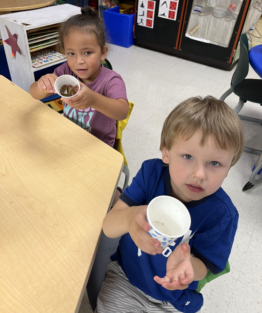 Preschoolers enjoy grapes as the snack for purple day.