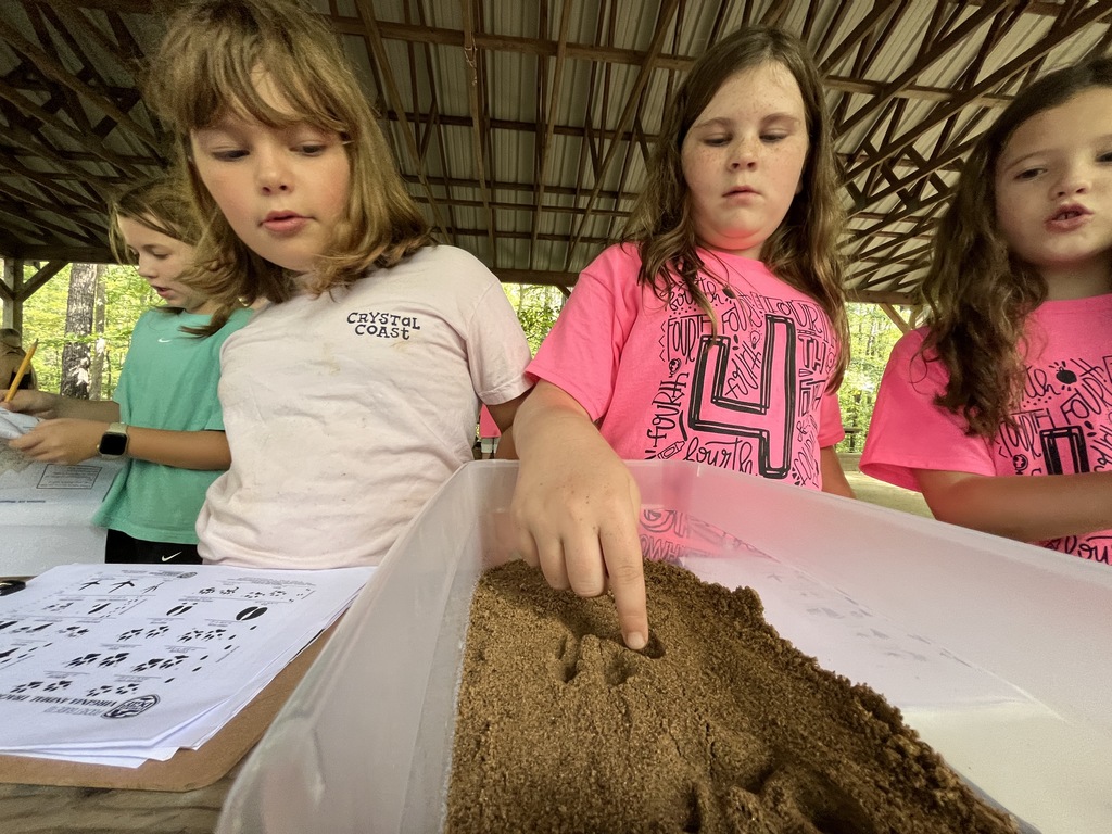 Students learn about animal tracks. 