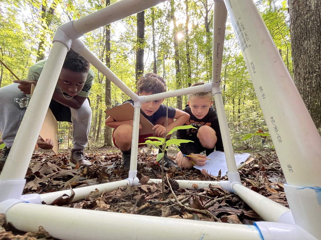 Students participate in a biocube activity in a park.