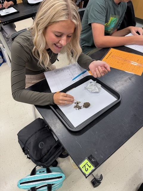 Students dissect owl pellets in ecology class.