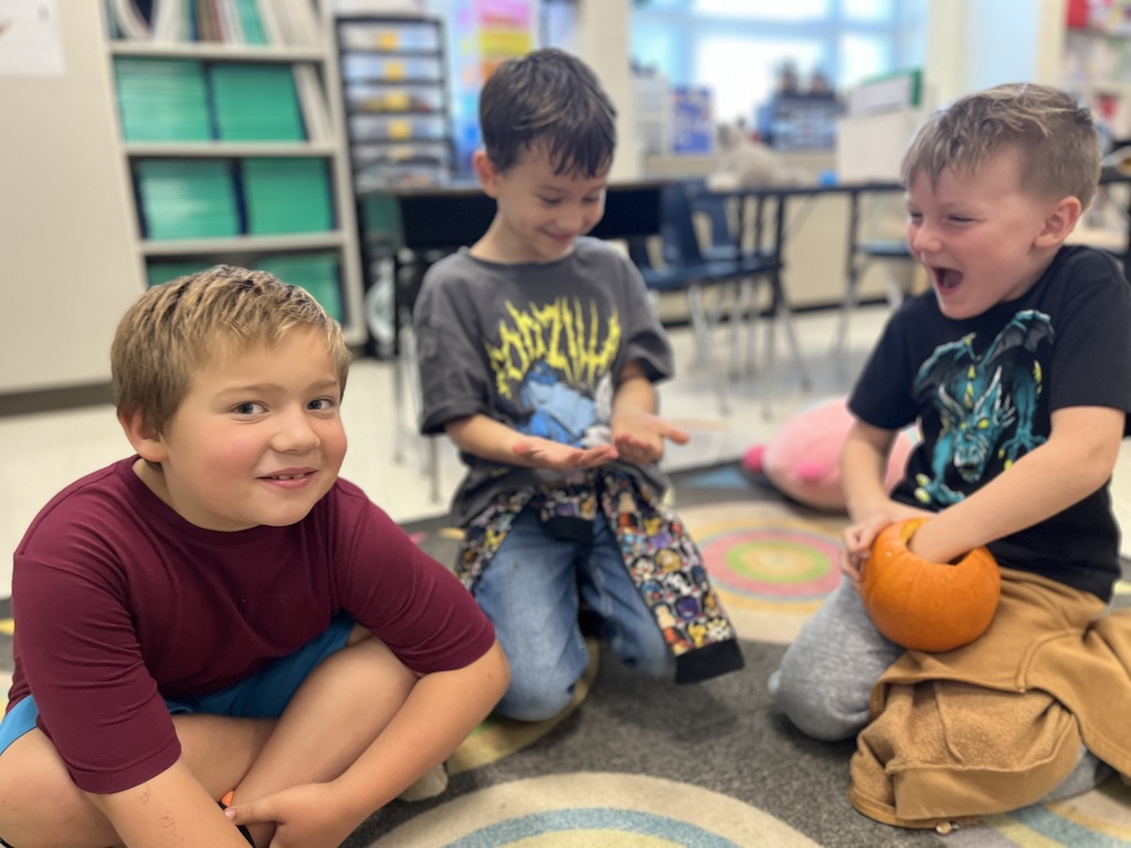 Children take turns feeling the inside of a pumpkin in class.