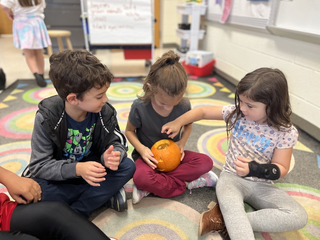 Children take turns feeling the inside of a pumpkin in class.