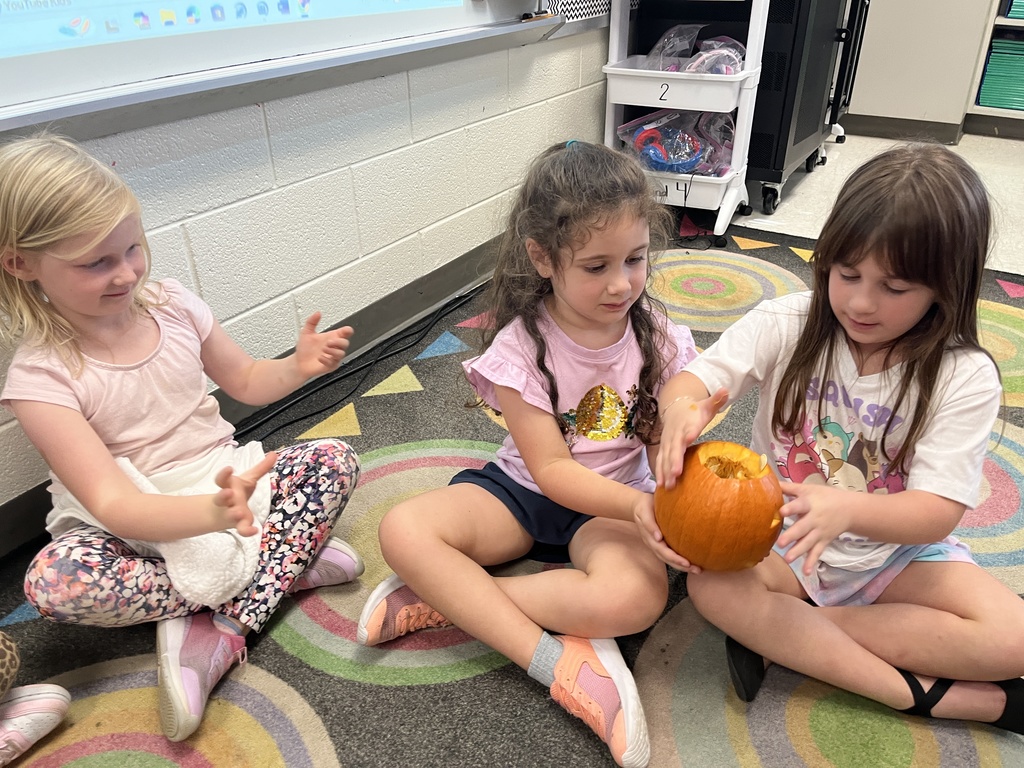 Children take turns feeling the inside of a pumpkin in class. 