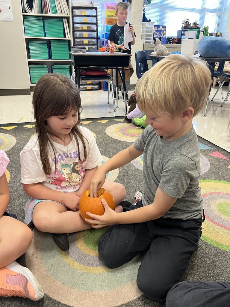 Children take turns feeling the inside of a pumpkin in class. 
