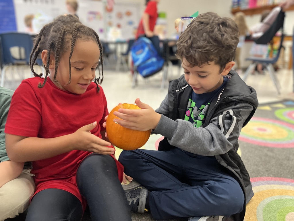Children take turns feeling the inside of a pumpkin in class.