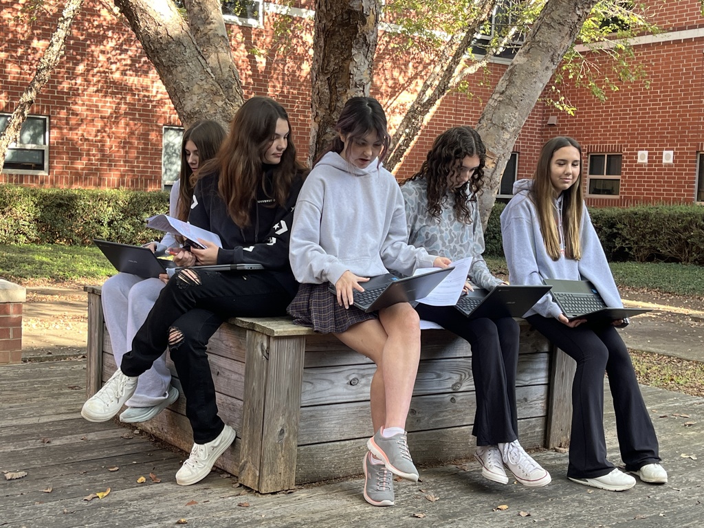 Students work in groups on a practical law assignment in a school courtyard.