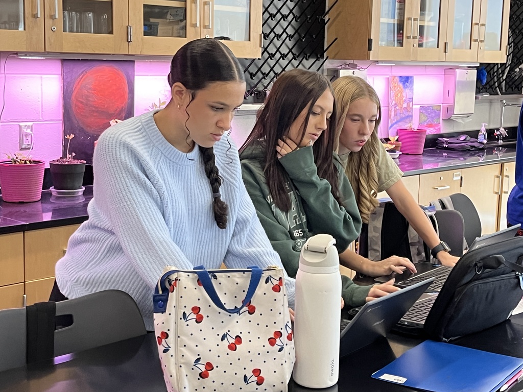 Students conduct experiments related to Newton's Laws of Motion.