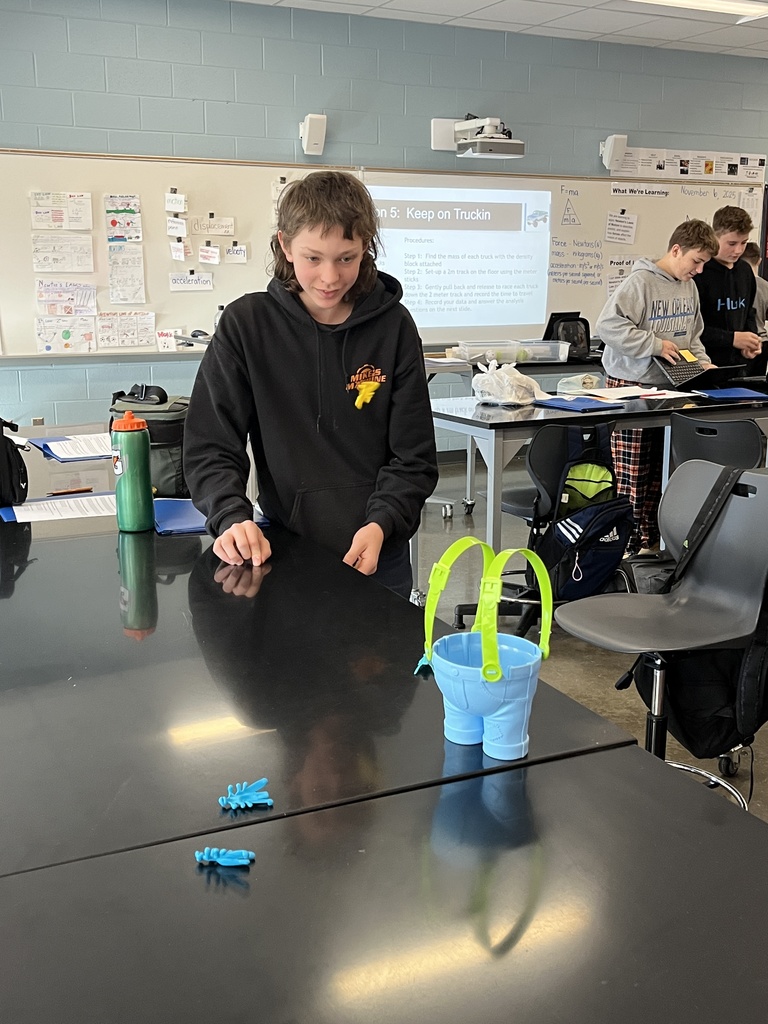 Students conduct experiments related to Newton's Laws of Motion.