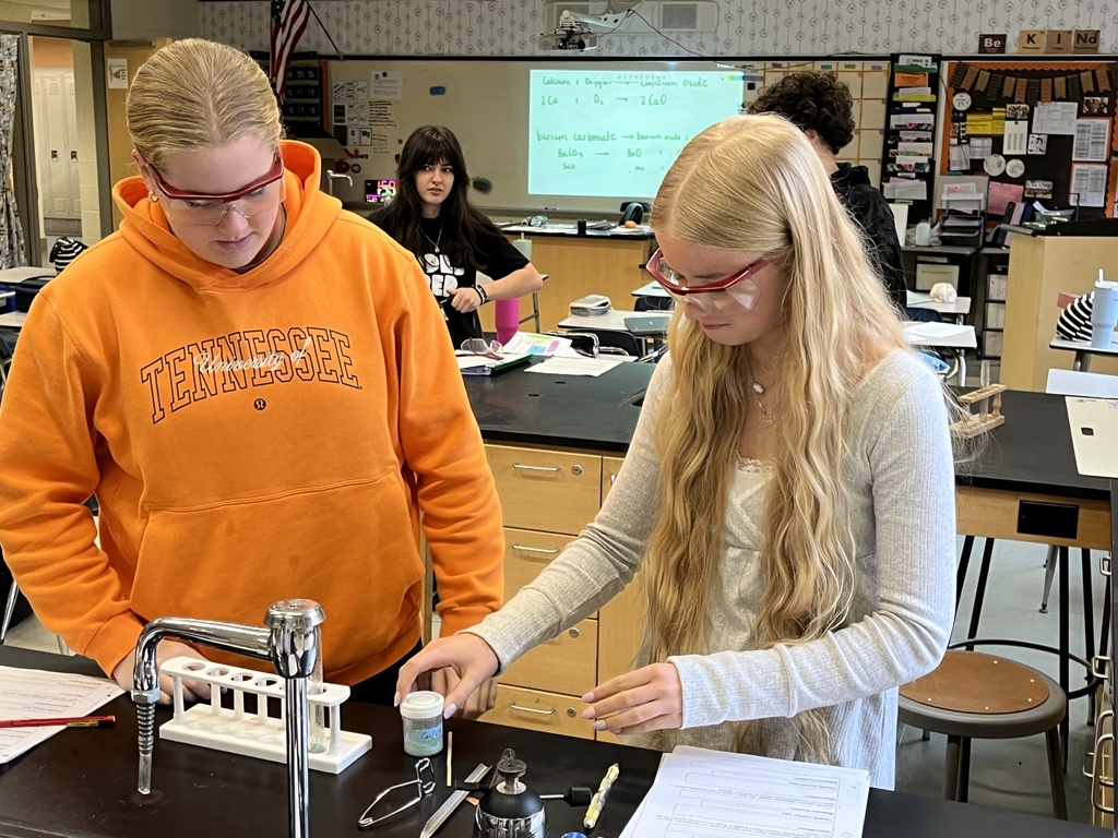 Students in chemistry class test chemical reactions.