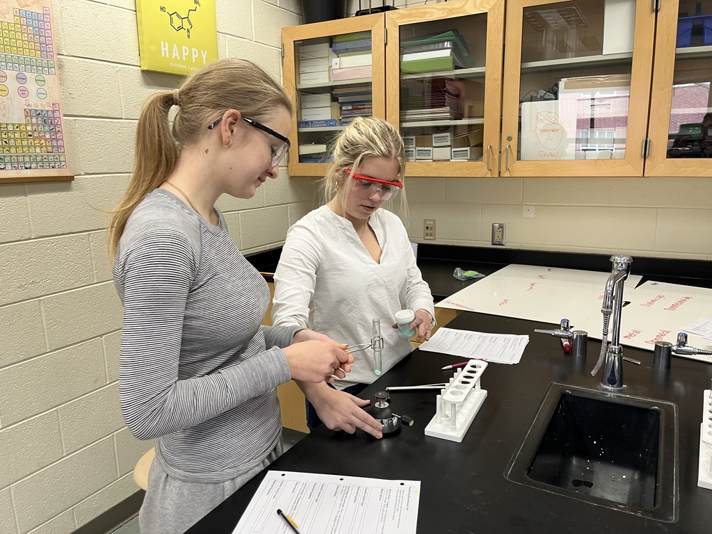 Students in chemistry class test chemical reactions.