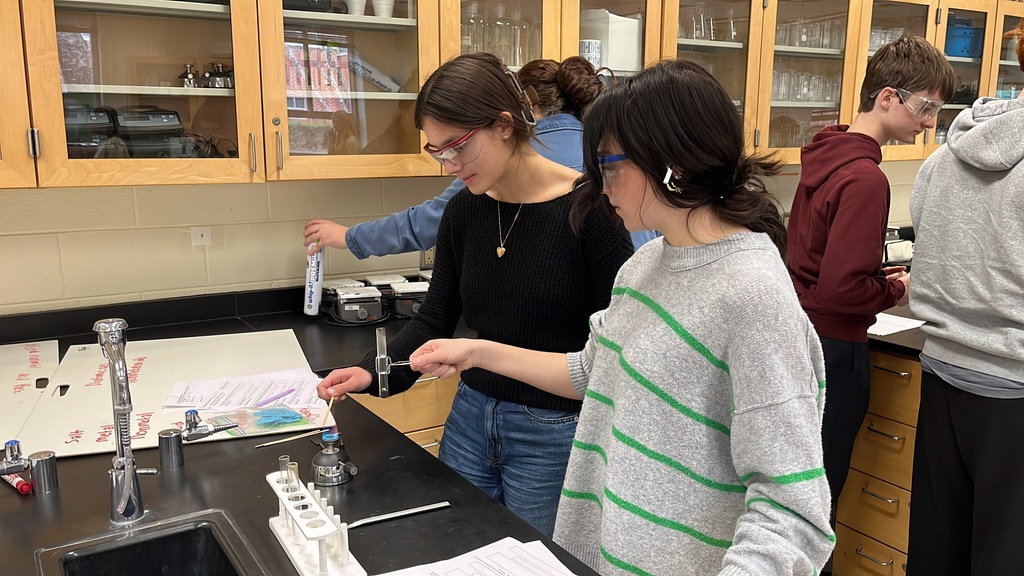 Students in chemistry class test chemical reactions.