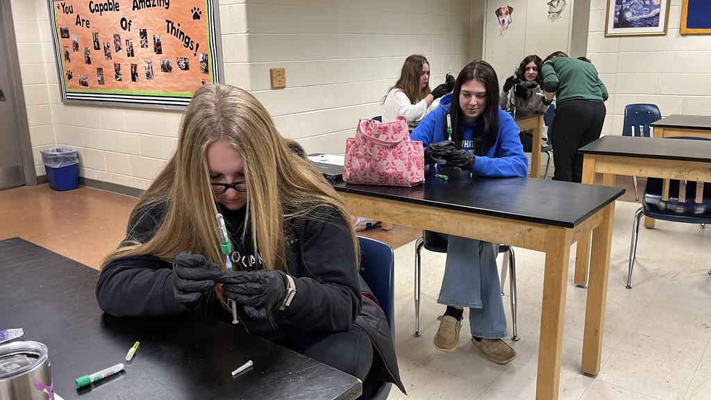 Veterinary science students work on a lab showing them how to mix a vaccine.