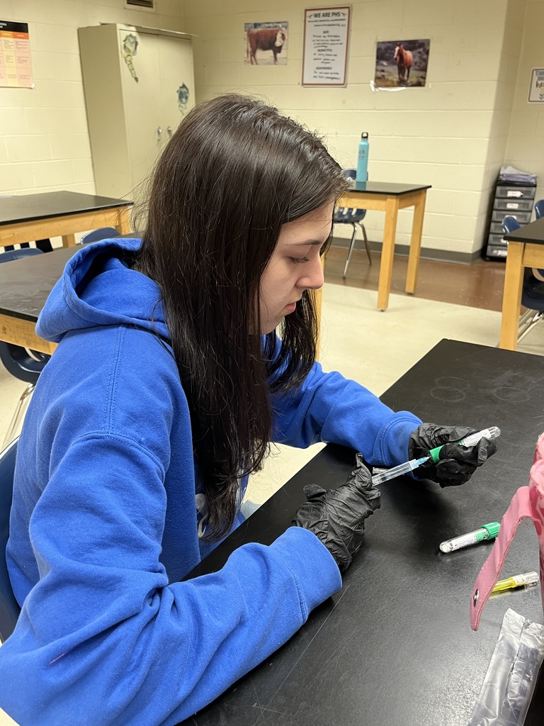 A veterinary science student works on a lab showing how to mix a vaccine.