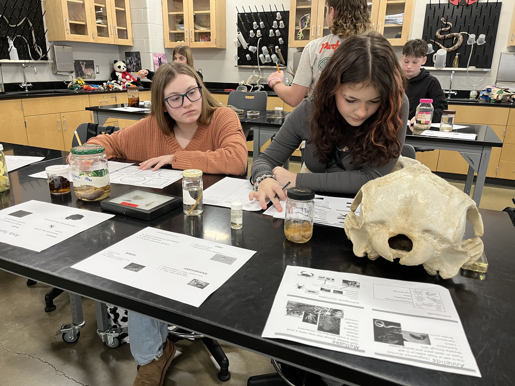 Students conduct a lab where they identify speciments. 