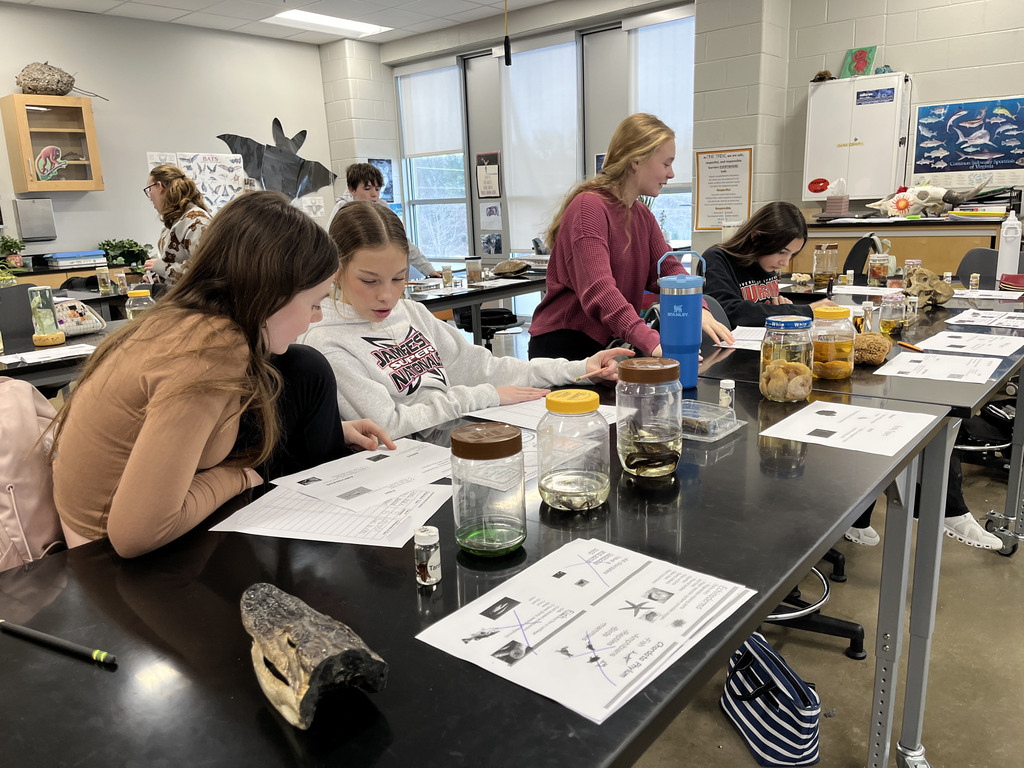 Students conduct a lab where they identify speciments. 