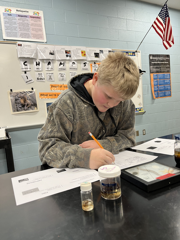 Students conduct a lab where they identify speciments. 